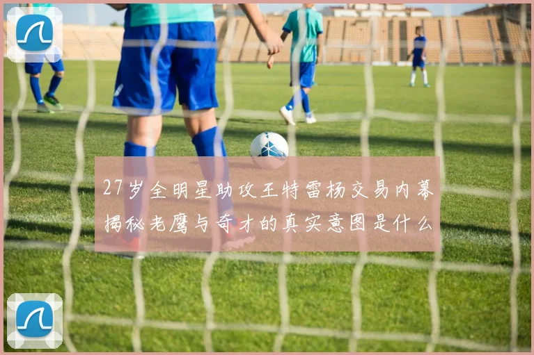 27岁全明星助攻王特雷杨交易内幕揭秘老鹰与奇才的真实意图是什么