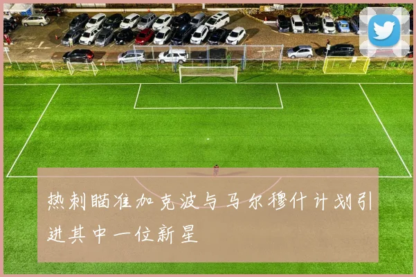 热刺瞄准加克波与马尔穆什计划引进其中一位新星