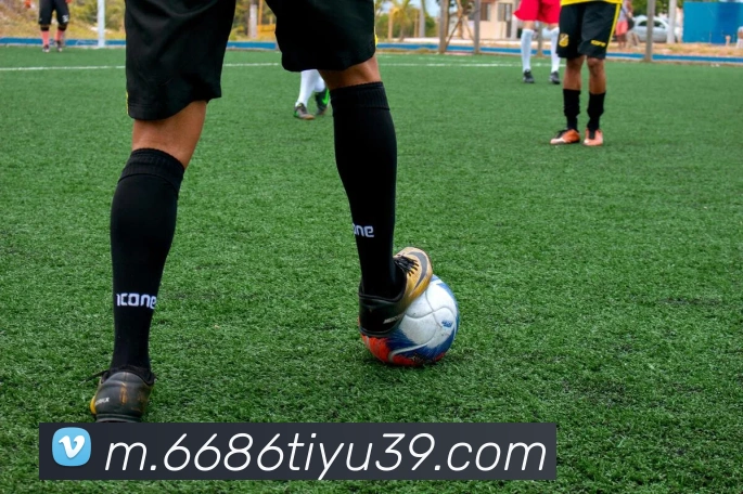 App Interface Preview