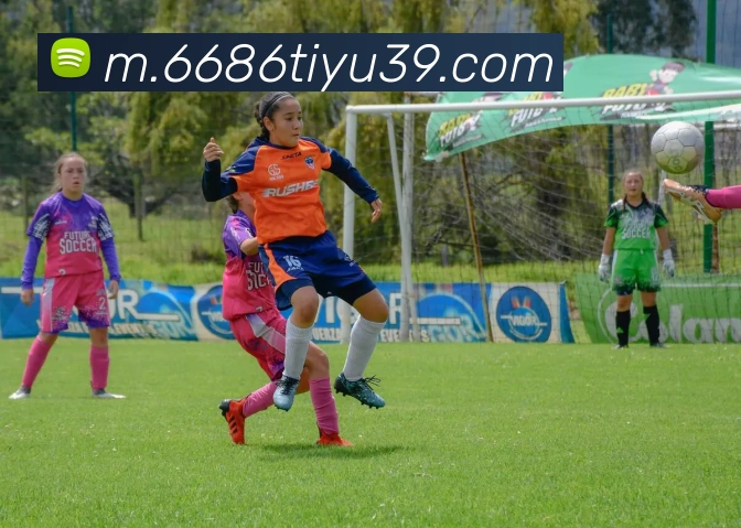 6686体育APP 封面图